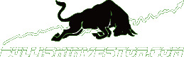 Bullish Investor